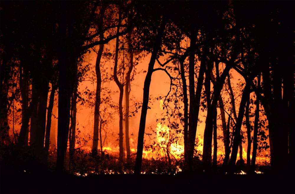 Microgrids In Wildfire Areas