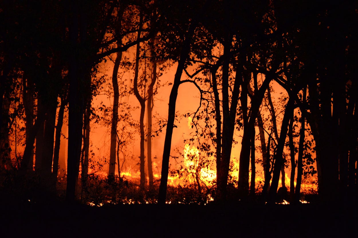 VECKTA and Microgrids In Wildfire Areas