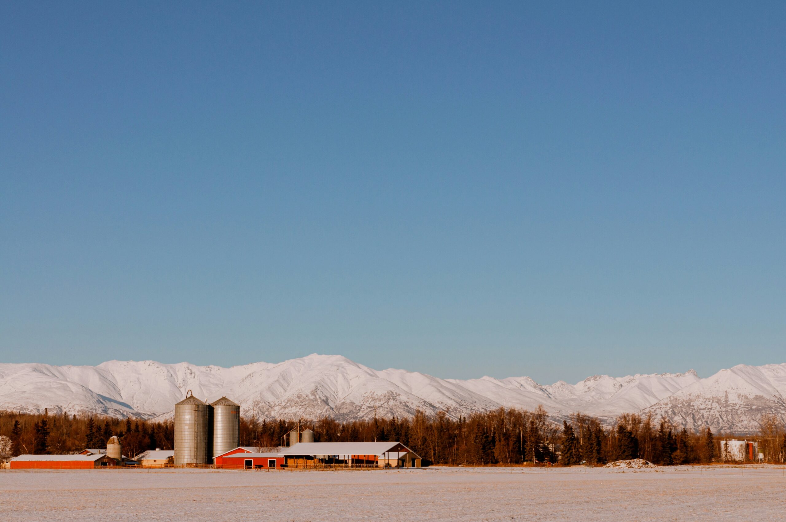 image of small rural agricultural building in the winter, mean to be Alaska. sky is blue and forground is a field in white.